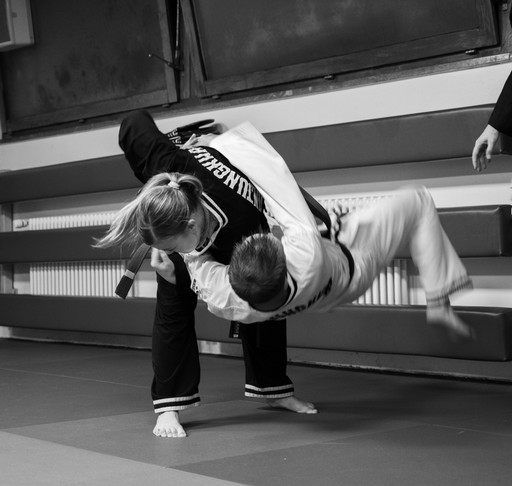 Abonnement Hapkiko Jin Jung Kwan - GC