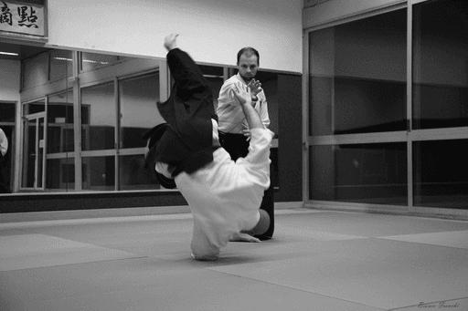 Abonnement Aikido & Katori Shinto Ryu - CO