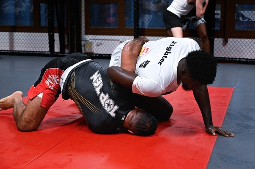 Abonnement MMA - OX